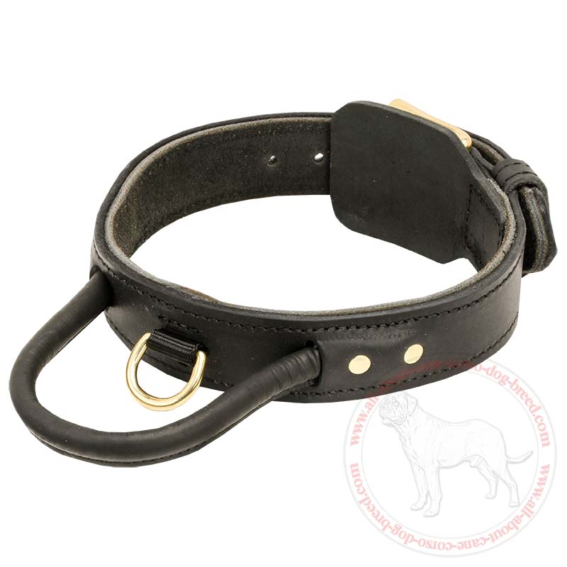 Order 2 Ply Leather Cane Corso Collar Handling Walking Training