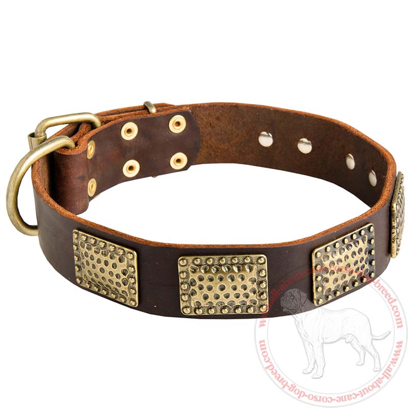 Walking and Training Cane Corso Collar with Vintage Plates