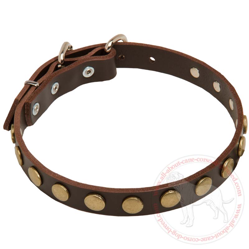 Fashion Exclusive Dog Collar with Circles for Cane Corsos
