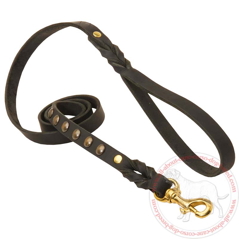 Studded Leather Dog Leash for Cane Corso