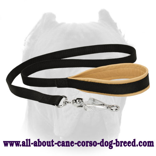 Lupine Nylon Cane Corso Leash with Padded Handle