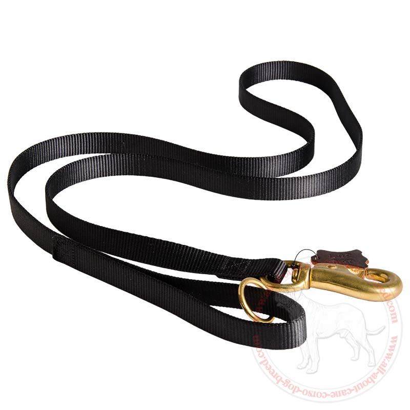 Tubular Nylon Waist Cane Corso Lead