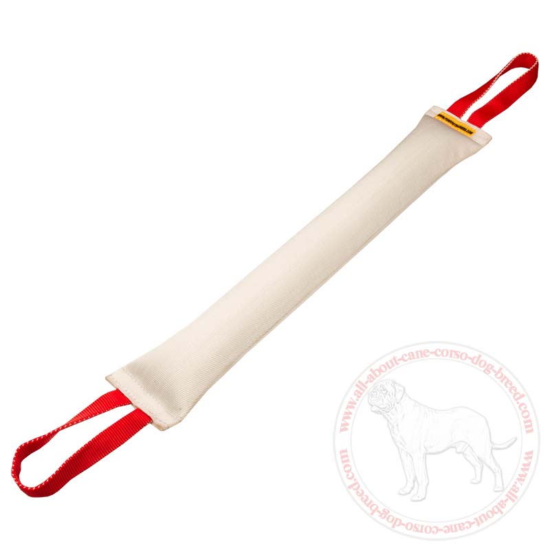 Huge Cane Corso Bite Tug of Fire Hose