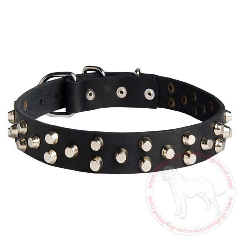 Studded Leather Dog Collar with 3 Rows of Pyramids for Cane Corso