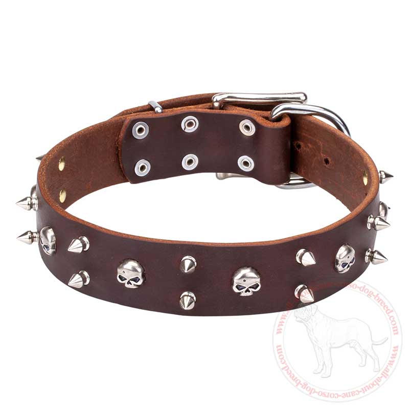 'Real Biker" Fashion leather Cane Corso Collar with Spikes and Skulls