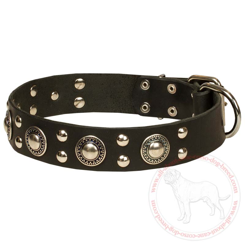 Fashion Leather Dog Collar for Cane Corso with Mixed Adornment