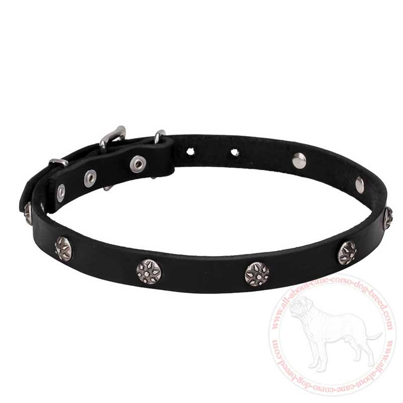 Narrow Leather Cane Corso Collar with Embossed Flowers