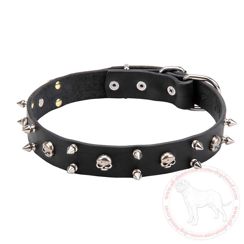 Leather Cane Corso Collar with Skulls and Spikes - 30 mm