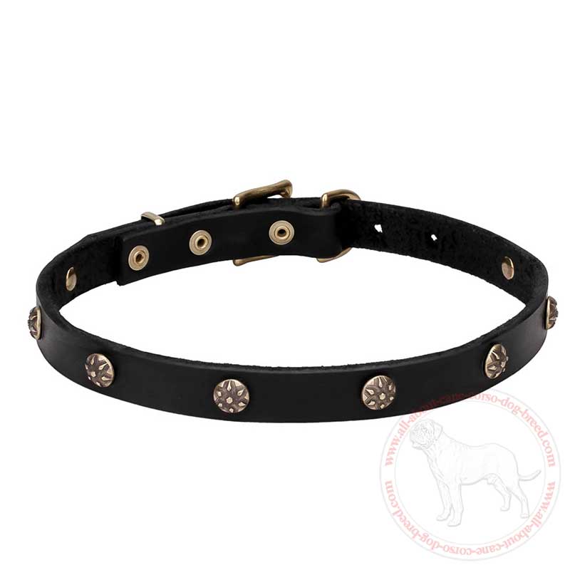 'Cloak and Sword' Leather Cane Corso Collar with Embossed Studs