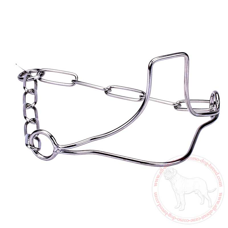 Fur Saving Stainless Steel Cane Corso Show Collar