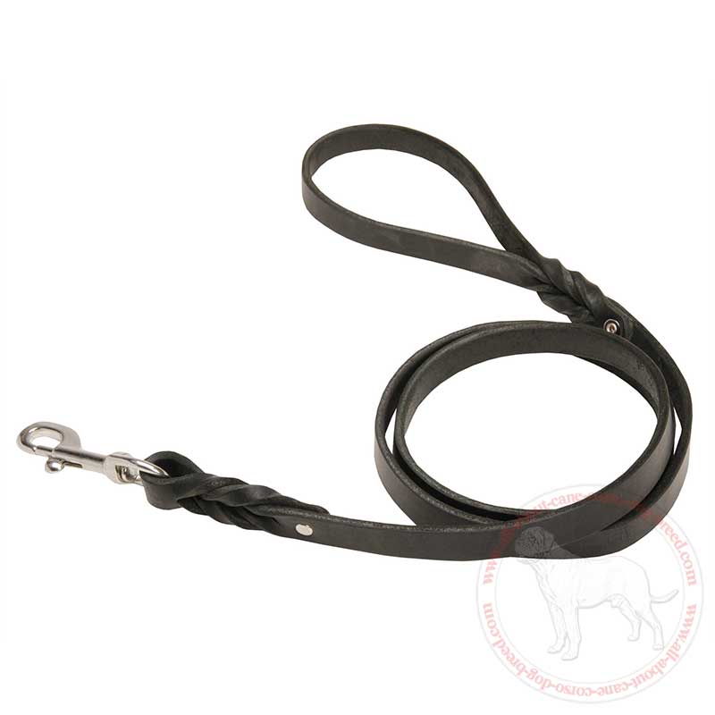Braided Leather Cane Corso Lead for Walking and Training