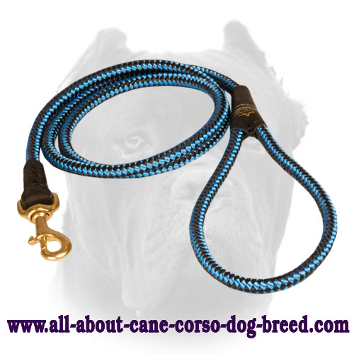 Cord nylon Cane Corso leash