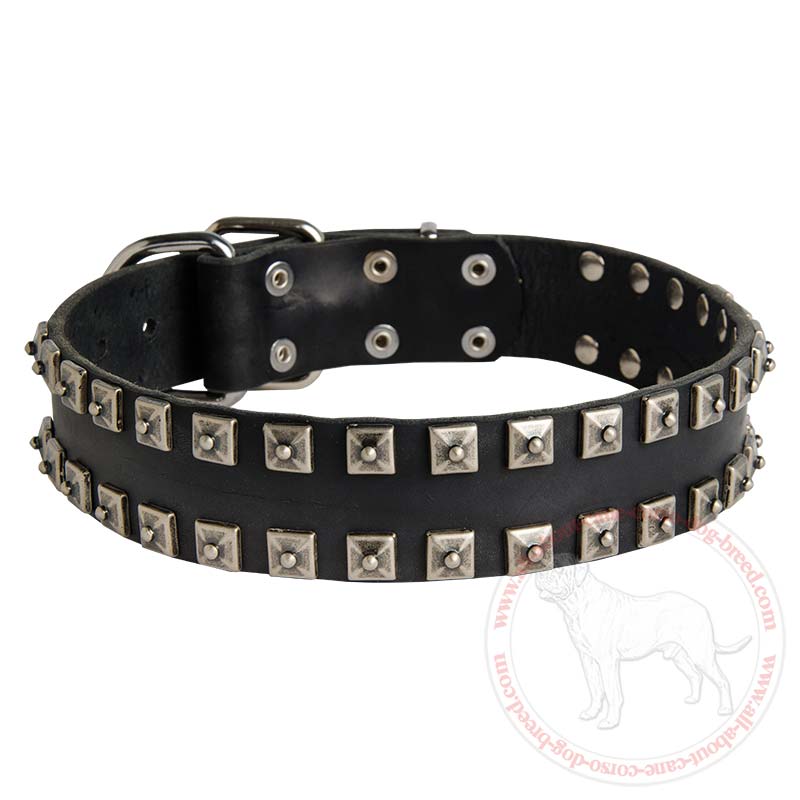 "Caterpillar" Design Leather Cane Corso Collar
