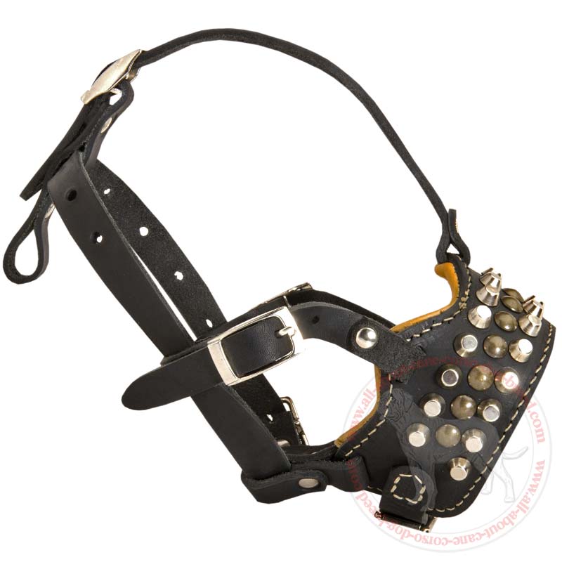 Studded Nappa Padded Leather Cane Corso Muzzle