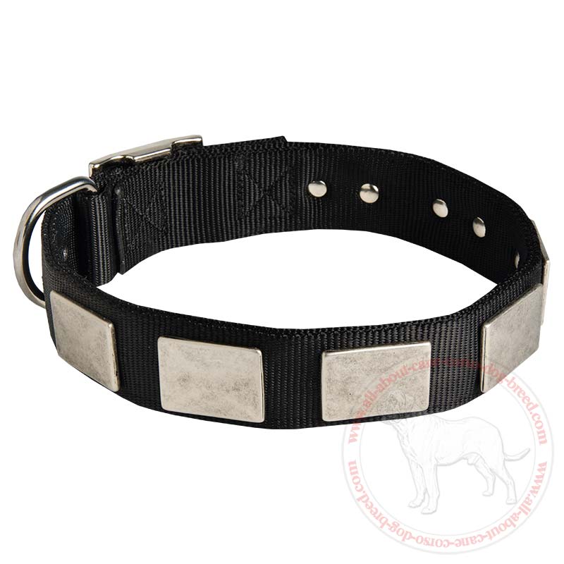 Fashion Nylon Dog Collar with Vintage Plates for Large and Medium Breeds - Click Image to Close