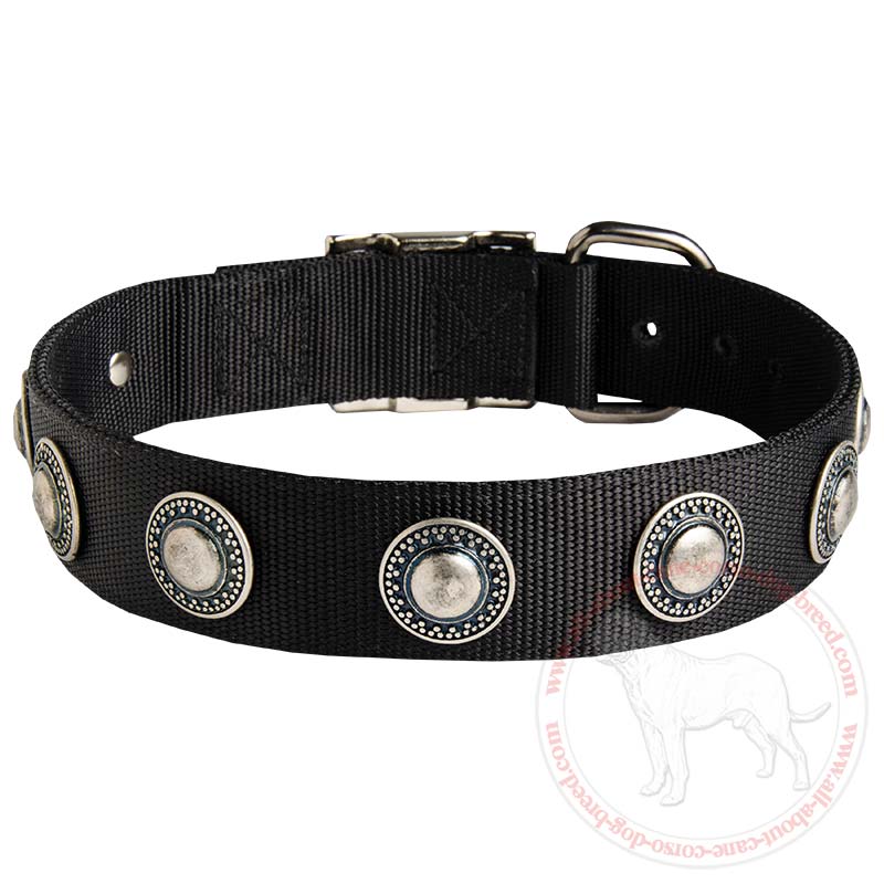 Fashion Nylon Dog Collar with Silver Conchos for Cane Corso Breed Dogs