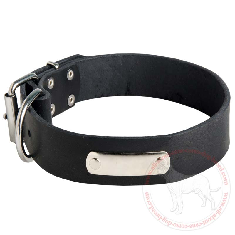 Personalized Leather Dog Collar with ID tag for Cane Corso Breed