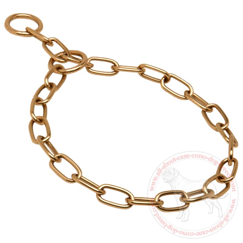 Curogan Fur Saver Choke Collar for Cane Corso Training and Behavior Correction