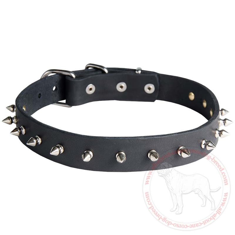 Fashionable Leather Cane Corso Collar with One Row of Spikes for Daily Walking