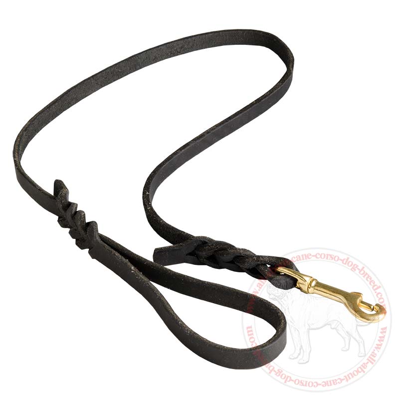 Cane Corso Leather Dog Leash with Decorative Braids for Walking and Training