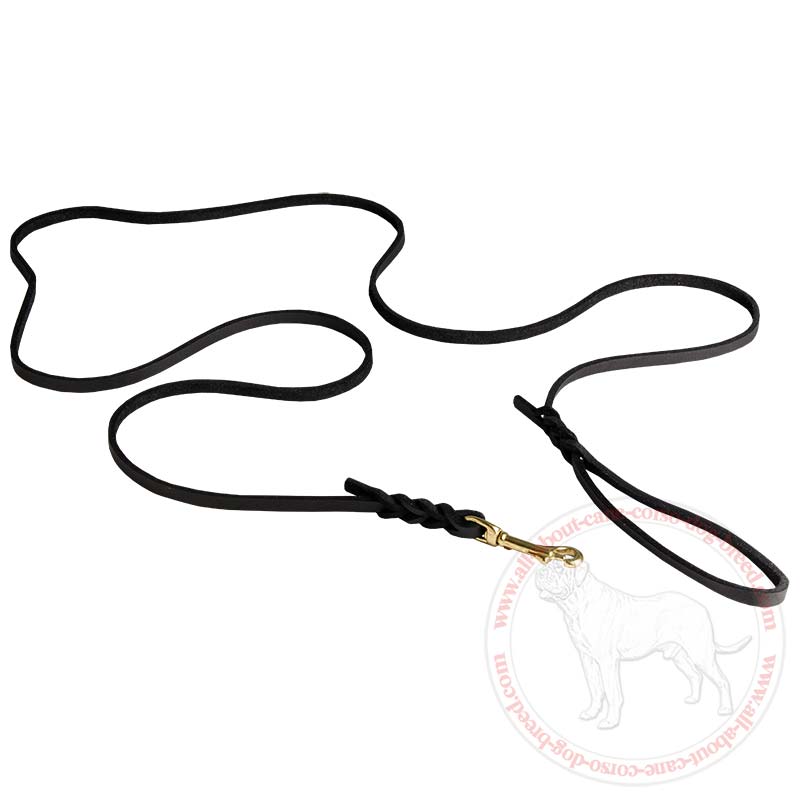 Leather Cane Corso Leash with Braids for Walking and Dog Shows
