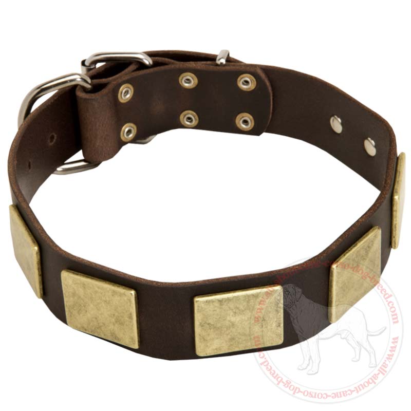 Best Decorated Leather Canine Collar for Large Dogs