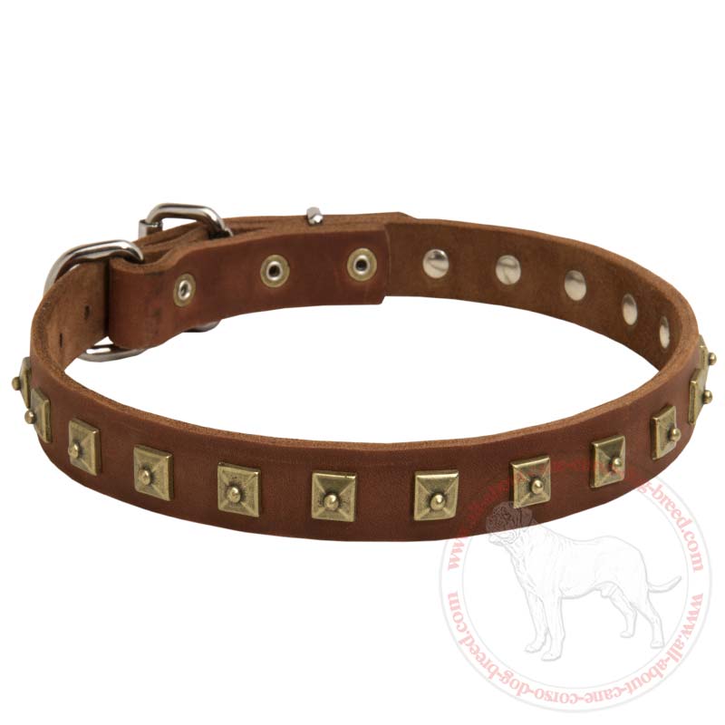 Gorgeous Decorated Leather Collar for Cane Corso