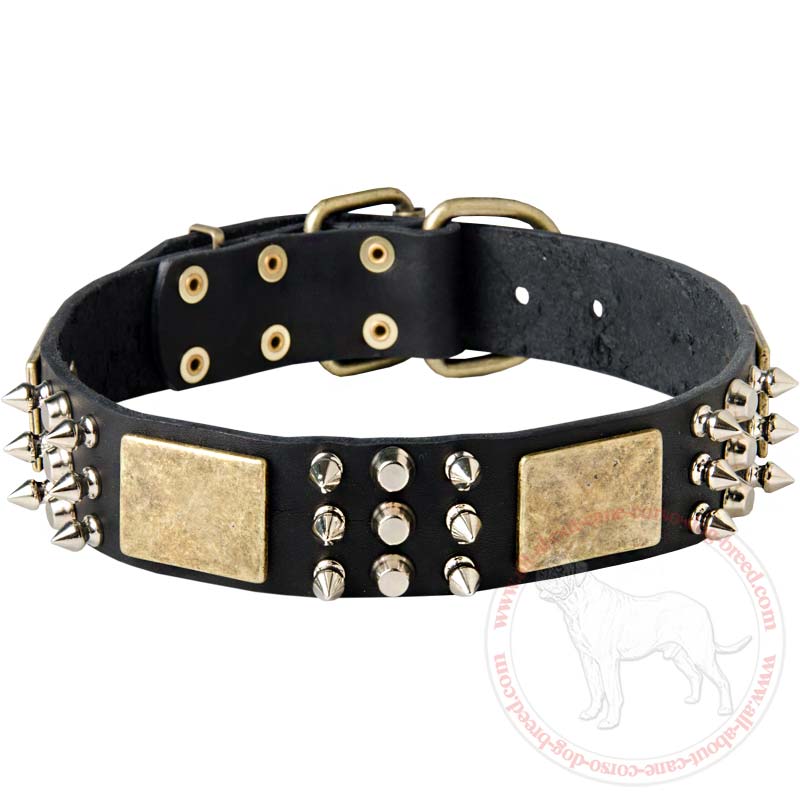 Designer Dog Collar for Large Breed Dogs Like Cane Corso
