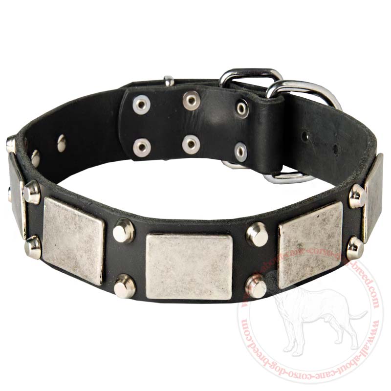 Designer Leather Dog Collar With Vintage Nickel Plates and Pyramids