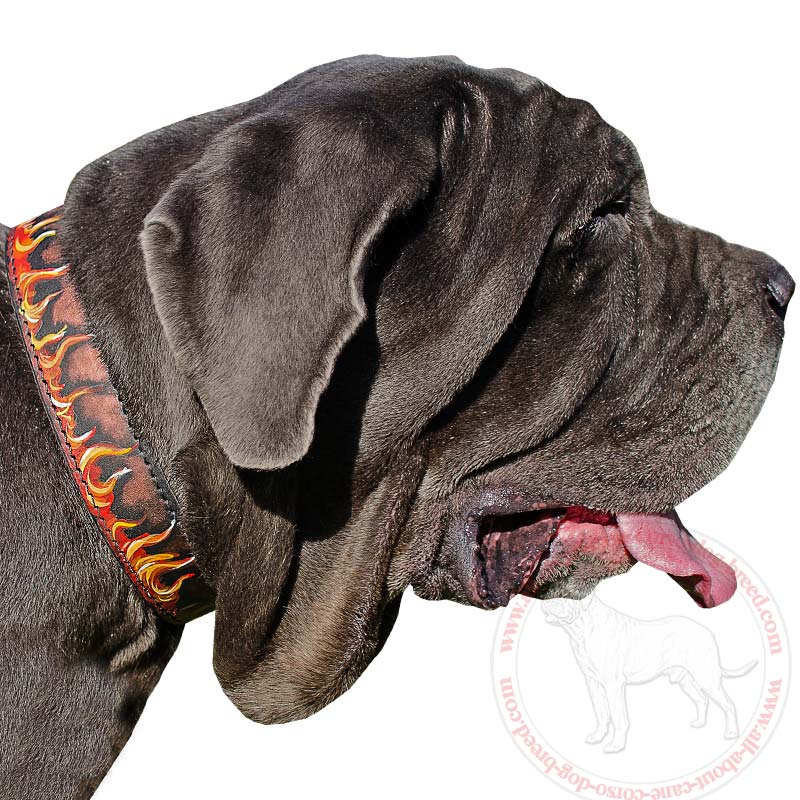 Designer Mastino Collar "Fire Flames" Painted