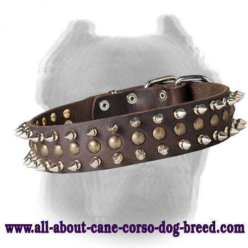 Cane Corso Leather Collar with 1 Row Half-spheres and 2 Rows Spikes