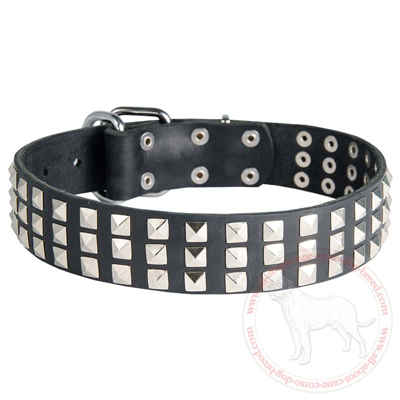 Silver Pyramids Fashion Leather Dog Collar for Cane Corso