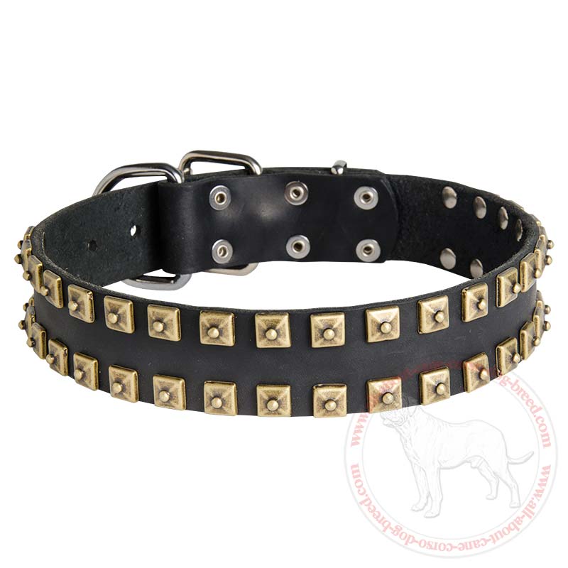 Awesome "Caterpillar" Design Leather Dog Collar for Cane Corso