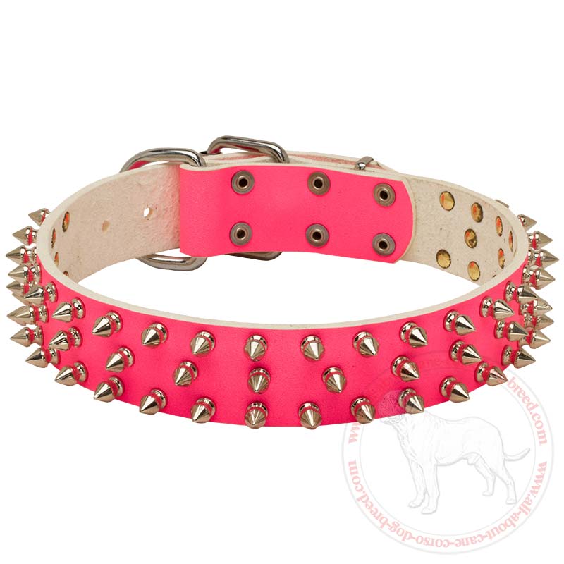 Brown Pink Checkered GD Luxury Dog Collar 