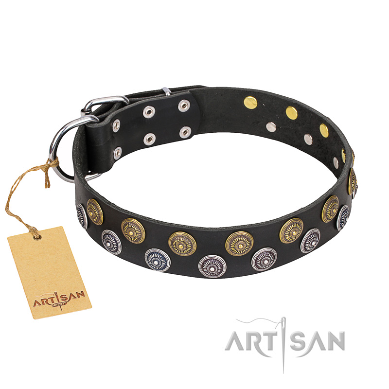 "Romantic Breeze" FDT Artisan Black Walking Leather Cane Corso Collar with Sparkling Circles