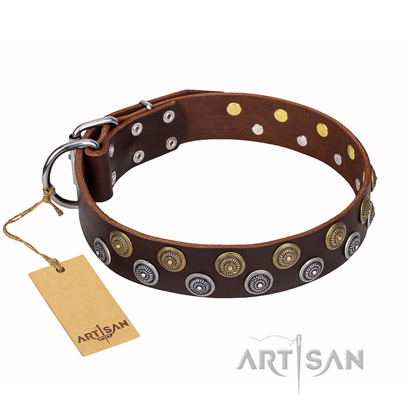 'Strong Shields' Studded FDT Artisan Brown Leather Cane Corso Collar - 1 1/2 inch (40 mm) wide