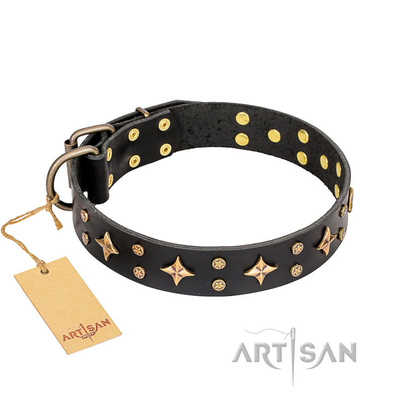 'A La Mode' FDT Artisan Handcrafted Black Leather Cane Corso Collar