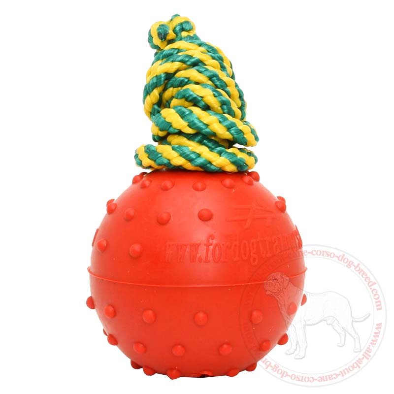 Solid Dog Training Rubber Ball for Cane Corso - Small