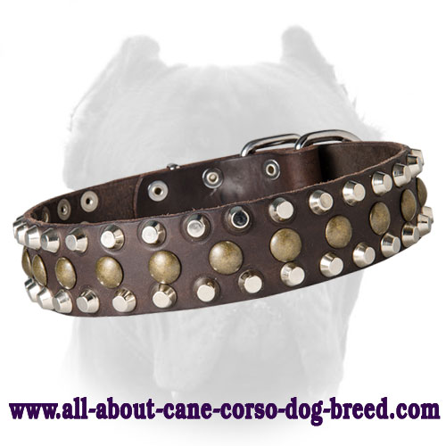 Fashion Leather Dog Collar for Cane Corso with 3 Rows Adornment
