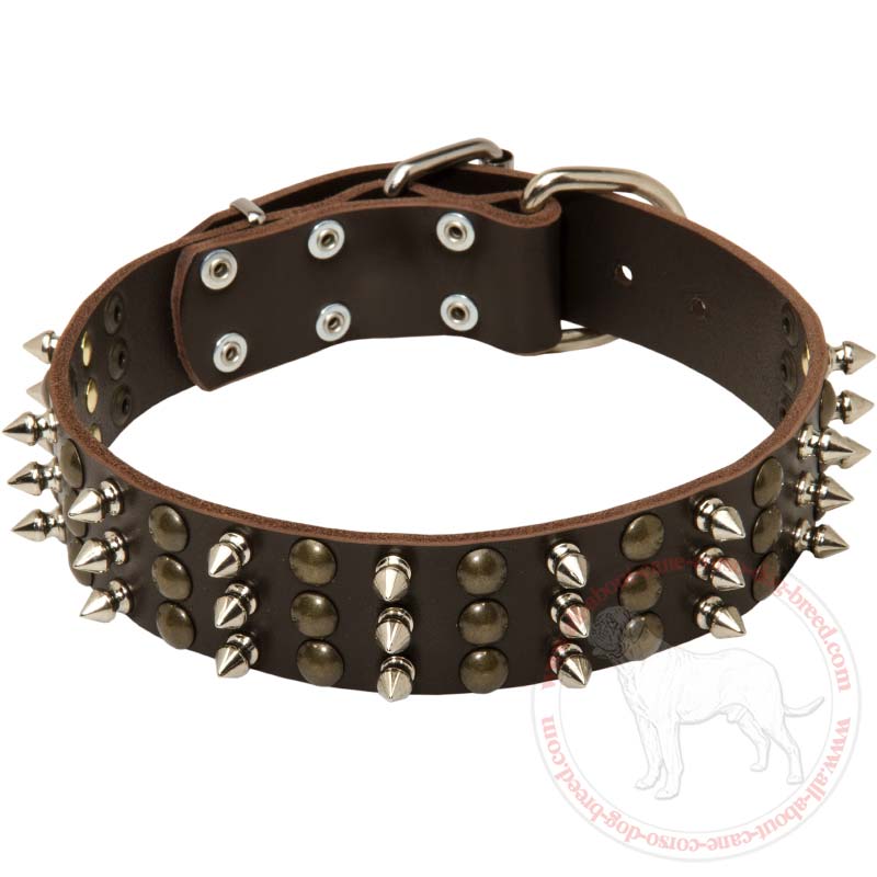 Religious dog collar deals
