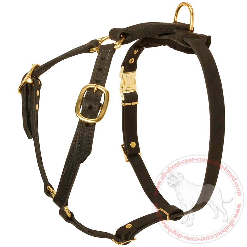 Y-shaped Light Weight Adjustable Leather Dog Harness for Cane Corso Breed