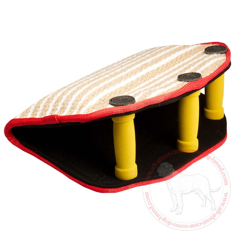 Advanced Young and Adult Dog Bite Builder