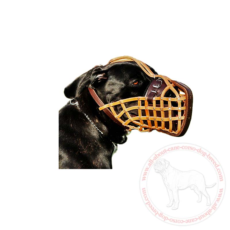 Fully Adjustable Leather Basket Muzzle for Cane Corso