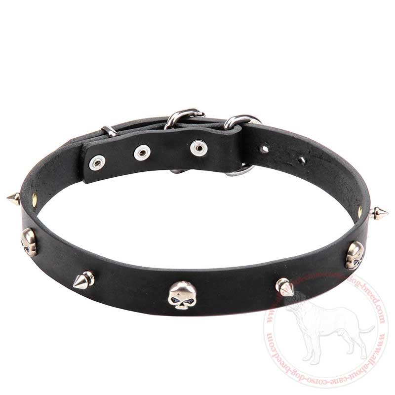 'Gentleman of Fortune' Leather Cane Corso Collar