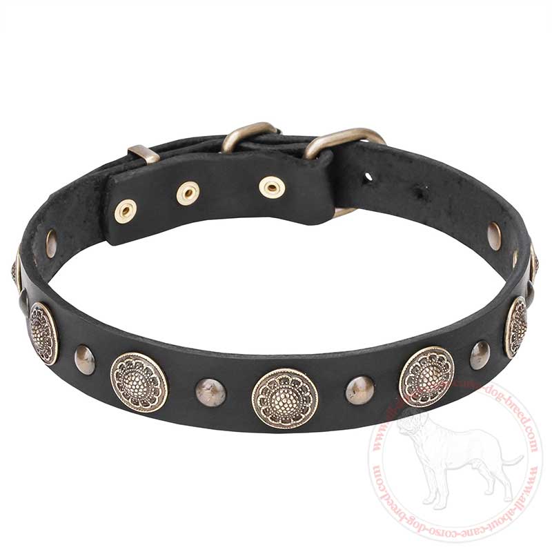 'Magic Necklace' Leather Cane Corso Collar with Brass Conchos and Studs