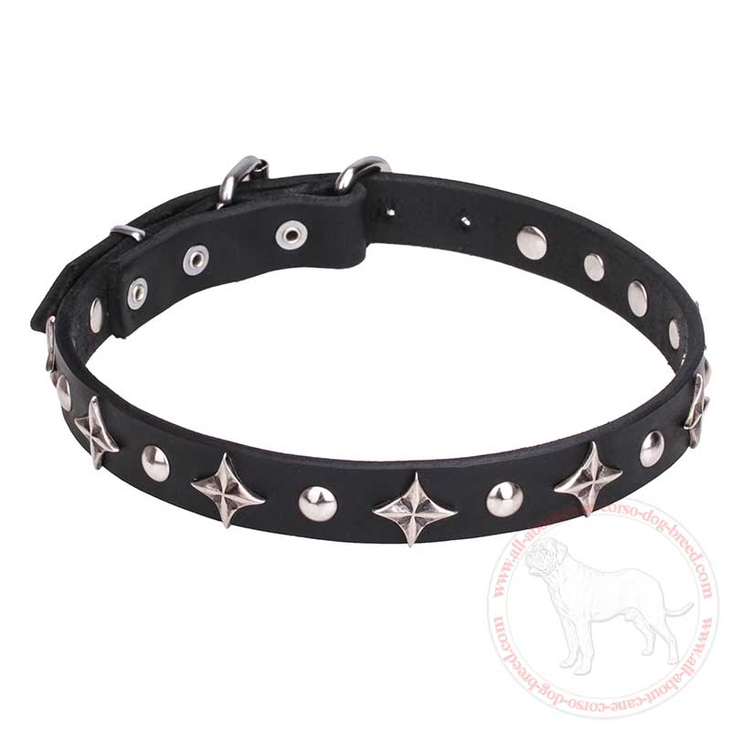 'Pleiades' Leather Cane Corso Collar with Chrome Plated Stars and Studs