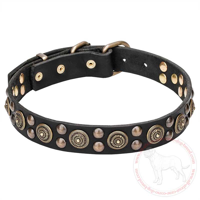 "Boho Style" Leather Cane Corso Collar with Massive Brass Decorations