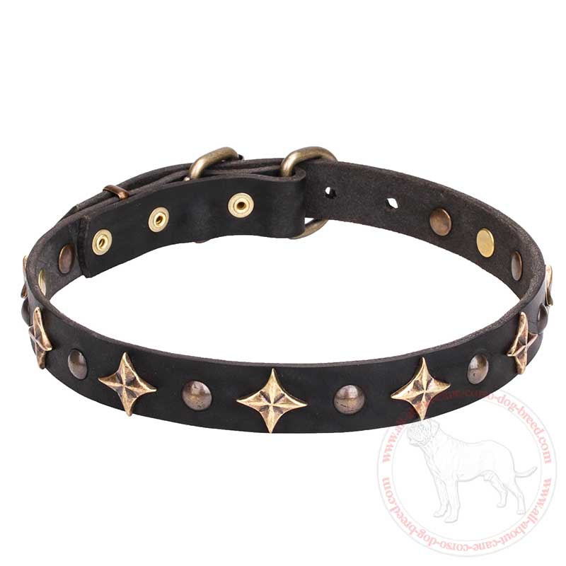 'Milky Way' Leather Cane Corso Collar with Old Bronze-plated Half-ball Studs and Stars