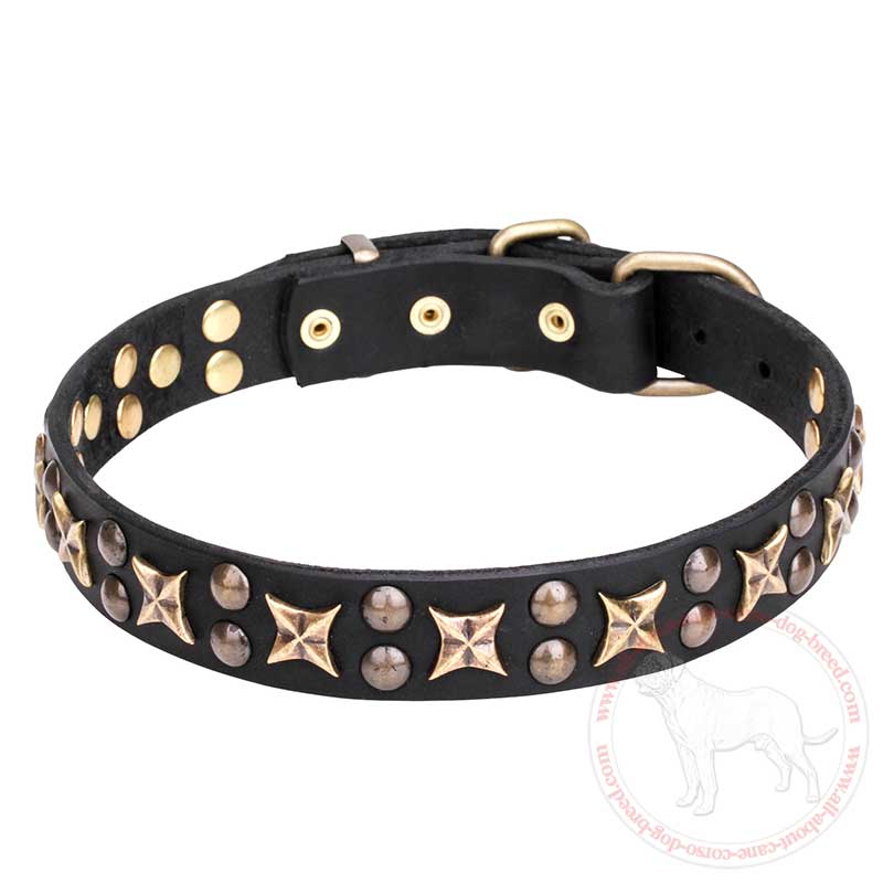 'Vintage Legacy' Leather Cane Corso Collar with Old-Fashioned Stars and Studs