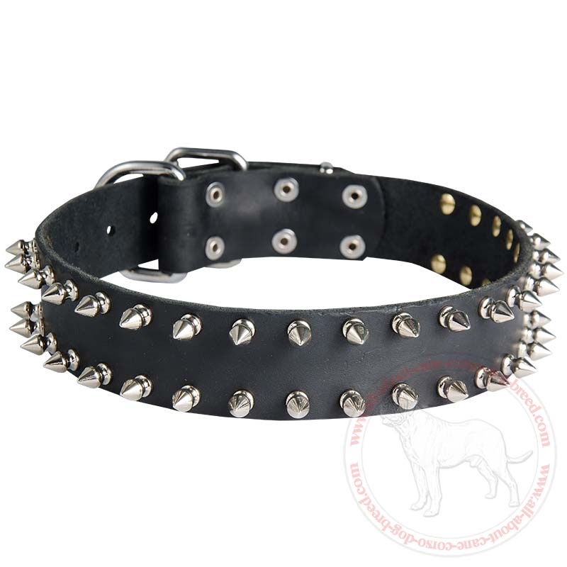 Leather Spiked Dog Collar for Cane Corso